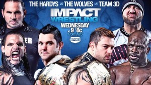 The Hardys The Wolves Team 3D
